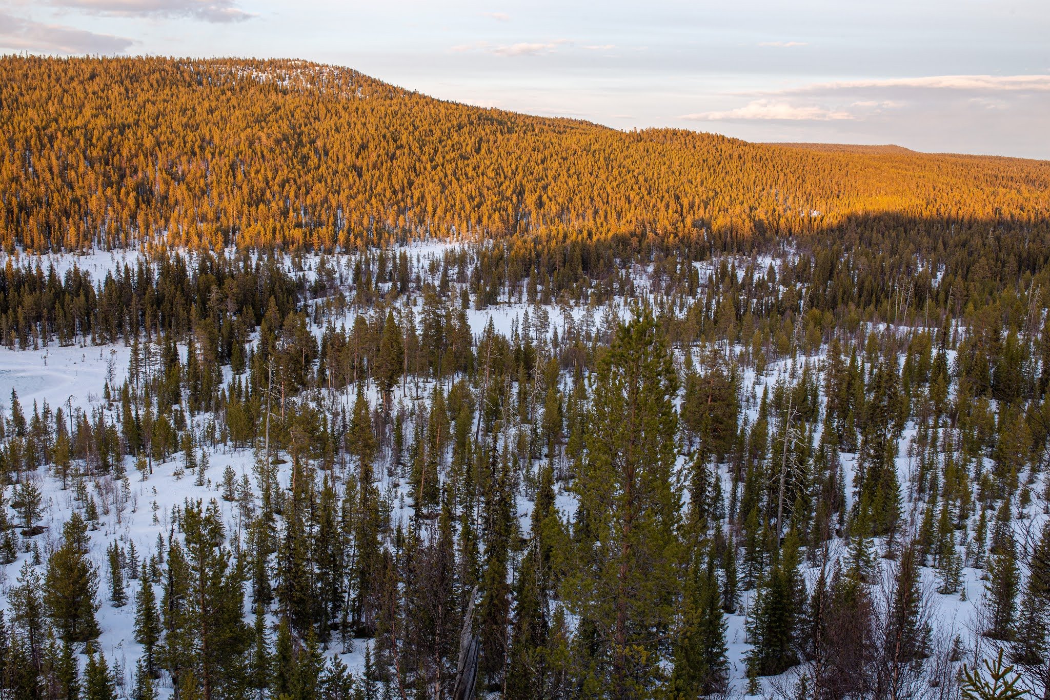 Reivo (Reivo Nature Reserve)